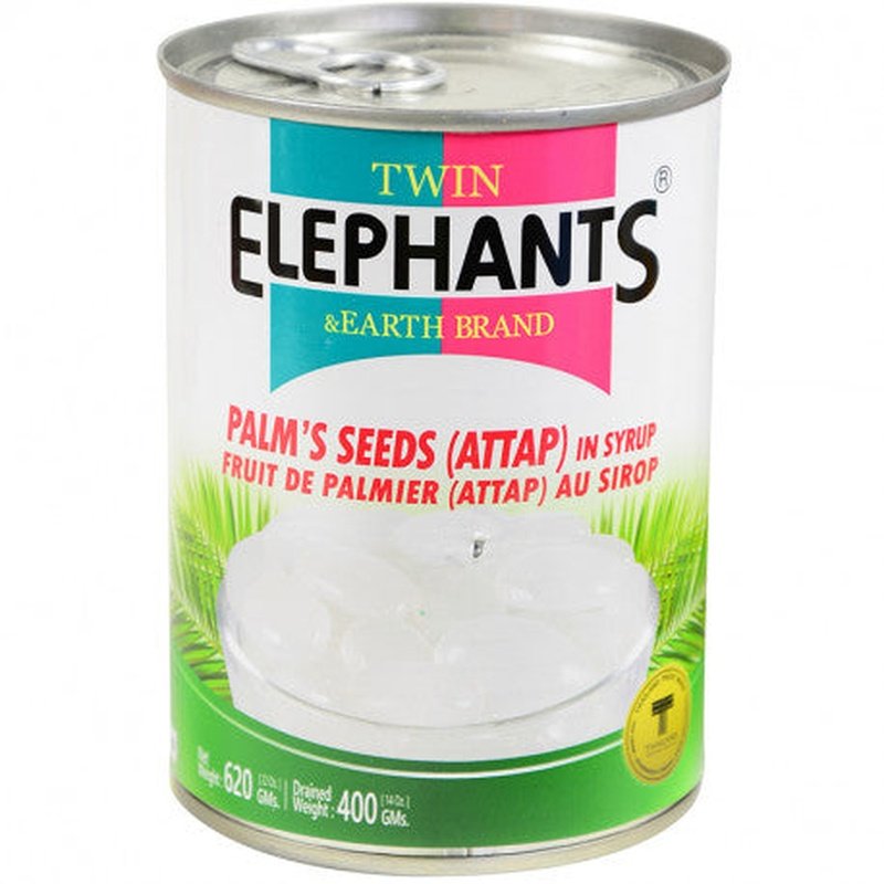 Twin Elephant & Earth Palm Seed Attap in Syrup Twin Elephants